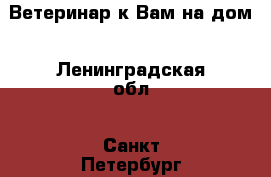 Ветеринар к Вам на дом - Ленинградская обл., Санкт-Петербург г. Животные и растения » Услуги   . Ленинградская обл.,Санкт-Петербург г.